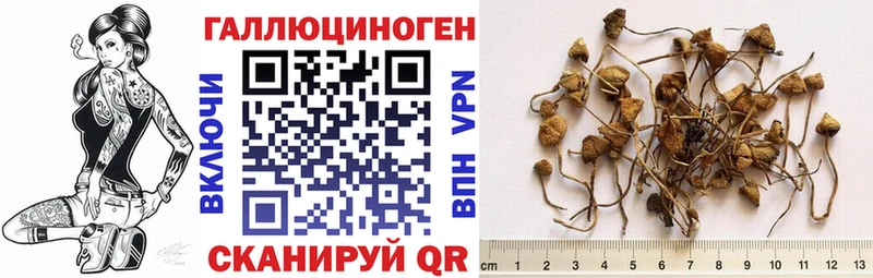 Псилоцибиновые грибы Psilocybine cubensis  MEGA ССЫЛКА  Верхняя Салда 